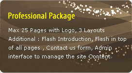 professional_package