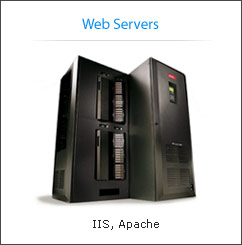 web_services